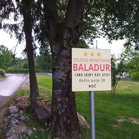 Apartman Studio Baladur Roč 外观 照片